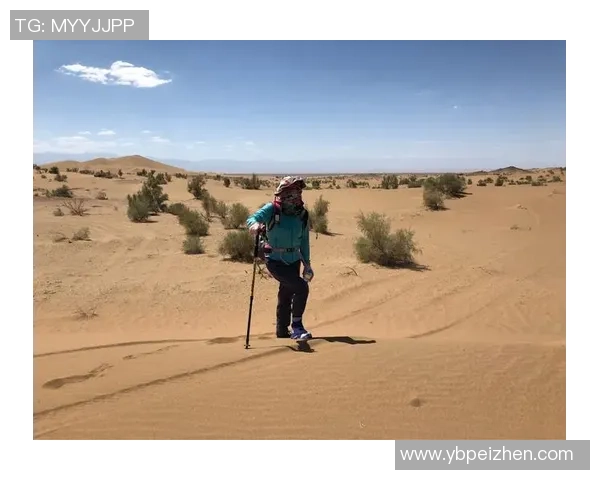 深度对话:探索张静在王者荣耀中的成长与挑战之旅